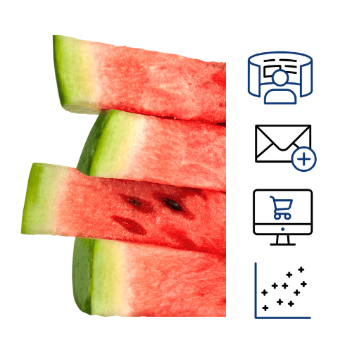 Mercatus DXPro Tech Stack